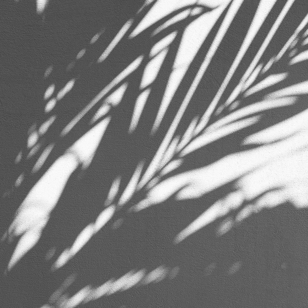 Maggie-Shadows (1)
