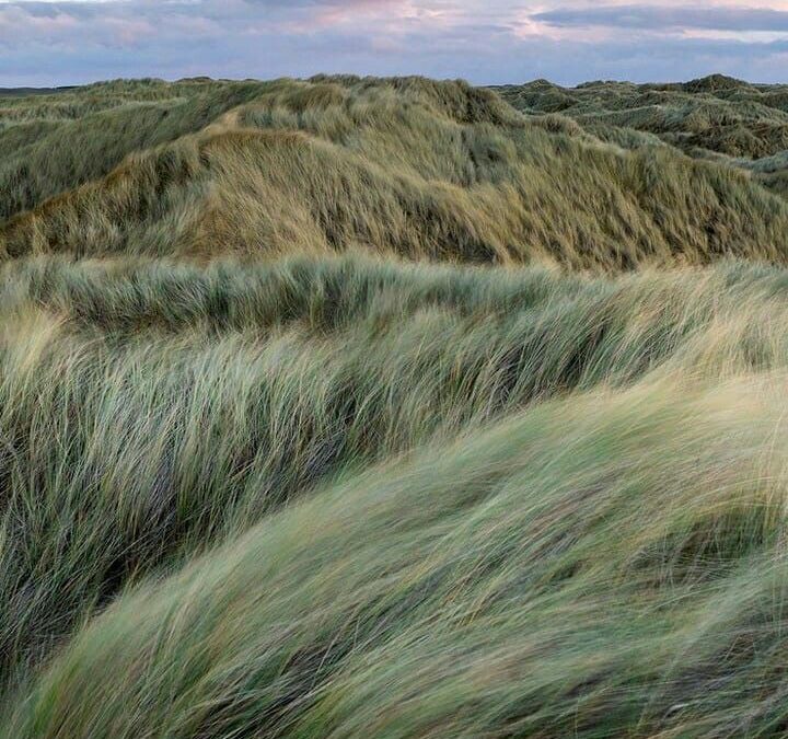 Ditch the Scroll: How to Do a Digital Detox in 2025.