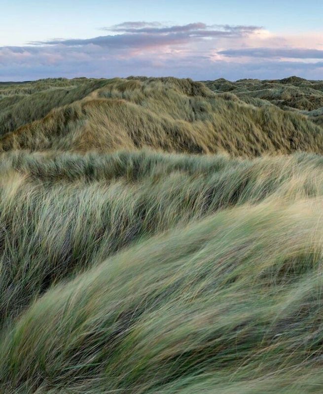 Ditch the Scroll: How to Do a Digital Detox in 2025.